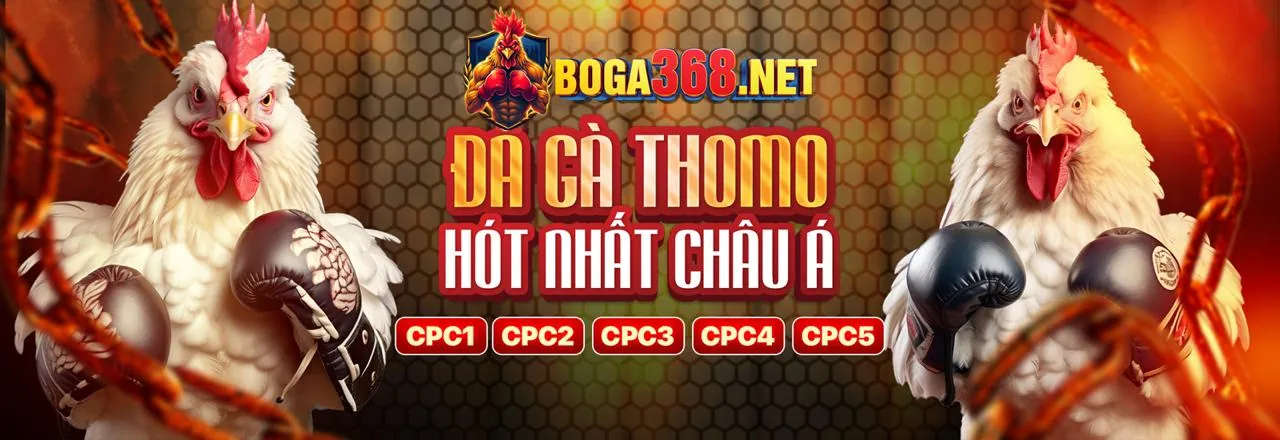 Cá cược thể thao nohu52